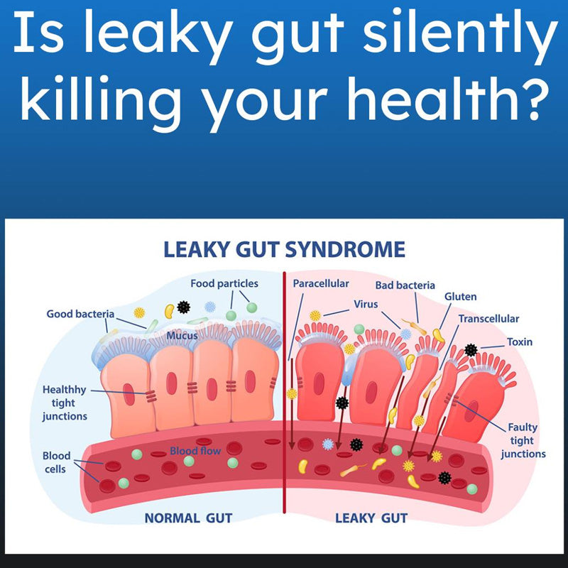 Leaky Gut