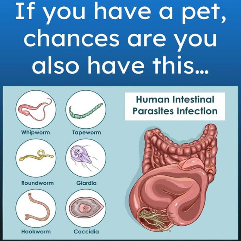 Parasites - Part 2